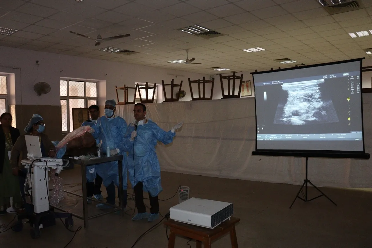 AORA INDIA - Jodhpur January 2026